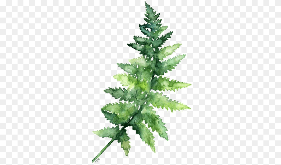 Download Leaves Fern Watercolor Printing Green Paper Watercolor Leaves Leaf, Plant, Tree Free Transparent Png