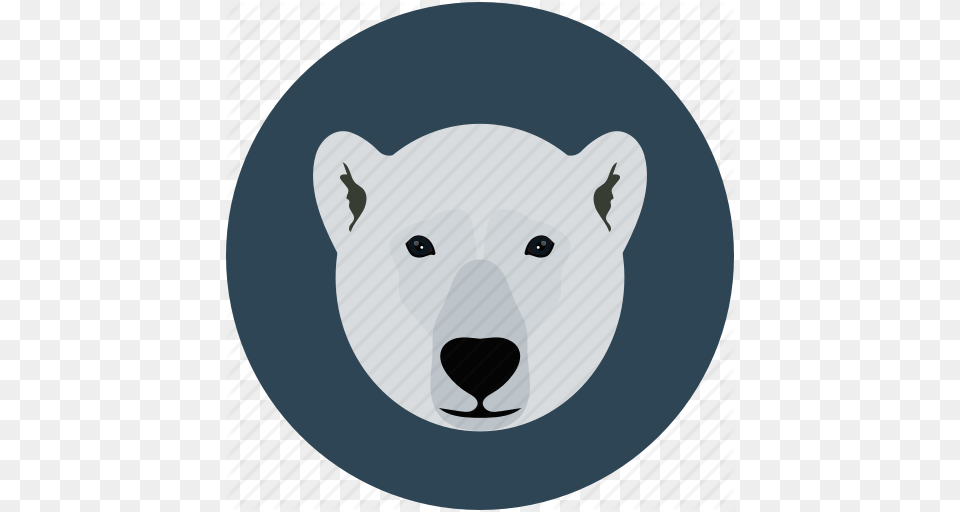 Leeds United Smiley Badge Clipart Polar Bear, Animal, Mammal, Wildlife, Polar Bear Free Png Download