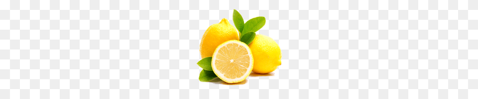 Lemon Photo Images And Clipart Freepngimg, Citrus Fruit, Food, Fruit, Plant Free Png Download