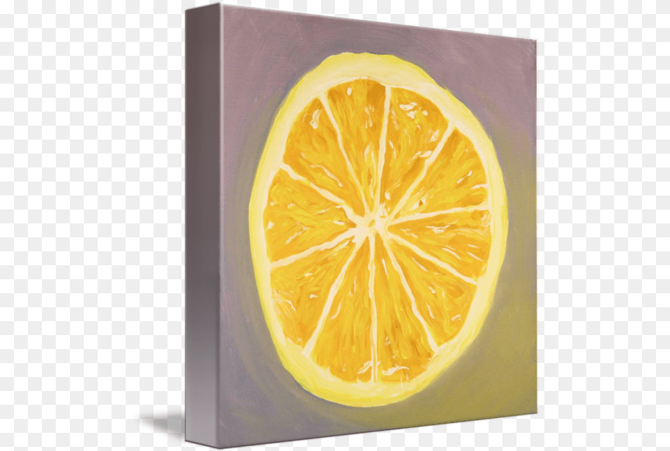 Download Lemon Slice Meyer Lemon, Citrus Fruit, Food, Fruit, Plant Free Png