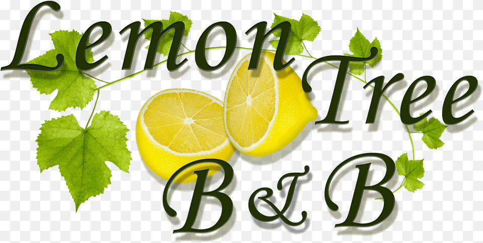 Download Lemon Tree Logo Sweet Lemon With No Grape Leaf, Citrus Fruit, Food, Fruit, Plant Png