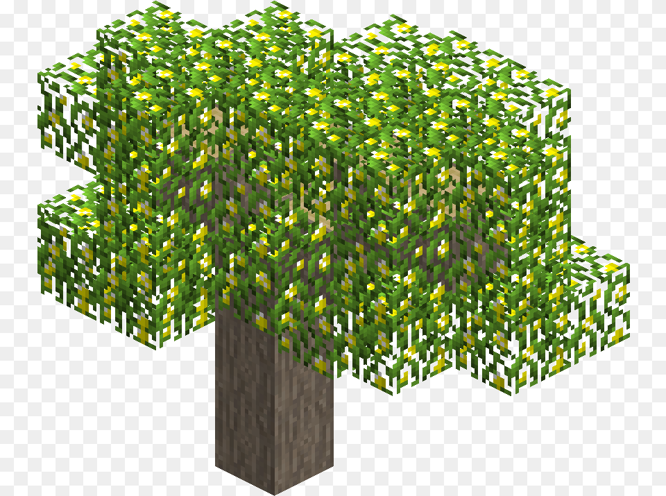 Lemontree Tree, Vegetation, Green, Plant, Moss Free Png Download