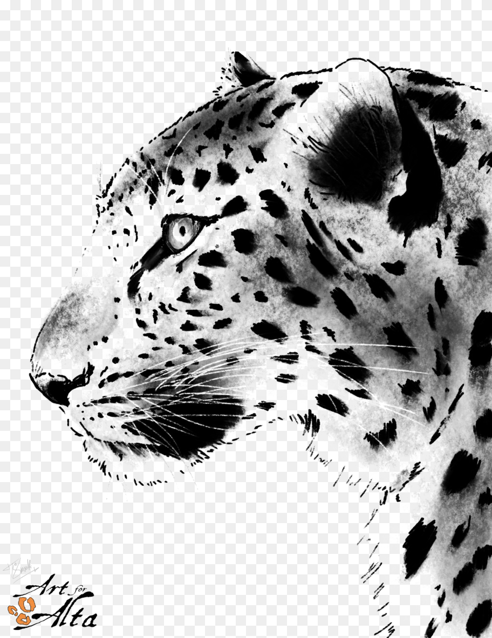 Download Leopard Face Picture Animals Painting Black Amur Leopard Clipart Black And White, Animal, Mammal, Panther, Wildlife Png