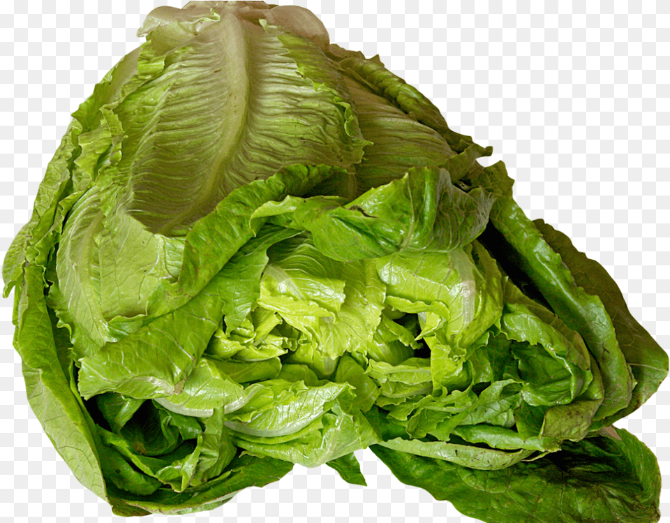 Lettuce Image Romaine Lettuce, Food, Plant, Produce, Vegetable Free Png Download