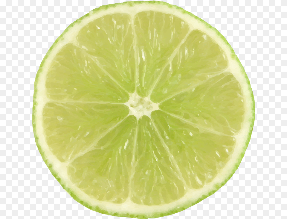 Lime Slice With Lime Slice, Citrus Fruit, Food, Fruit, Plant Free Png Download