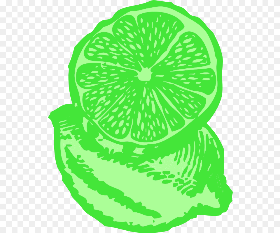 Download Limes Lemon Illustration, Citrus Fruit, Food, Fruit, Lime Png