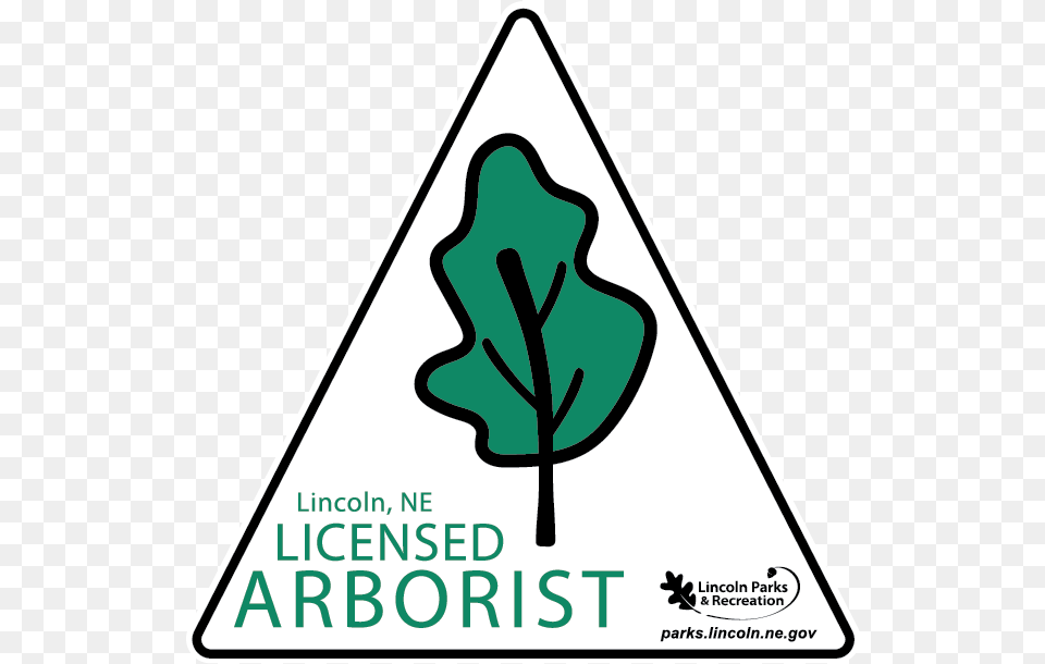 Download Lincoln Parks And Rec Arborist One Life Tree Lincoln Parks And Rec, Leaf, Plant Free Png