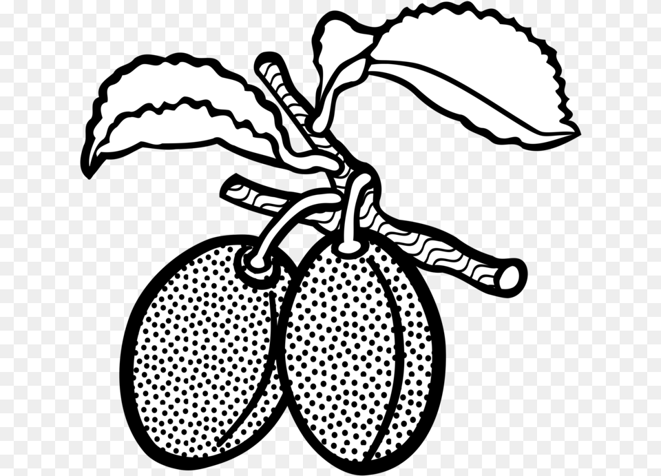 Download Line Art Plum Drawing Computer Icons Fruit Plum Plum The Fruit Clipart Black And White, Food, Plant, Produce, Baby Free Transparent Png