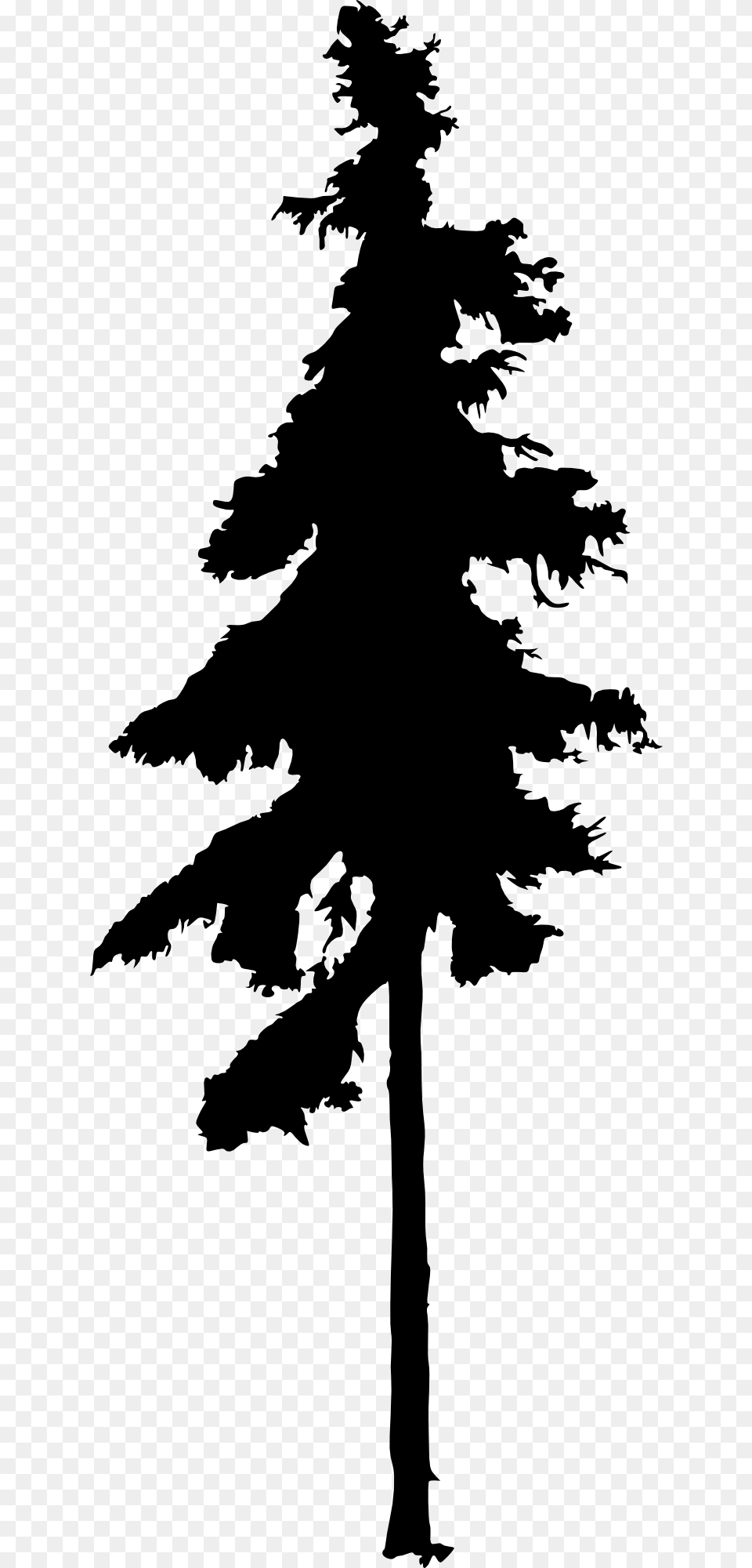 Download Line Drawing Pine Tree, Plant, Silhouette, Stencil, Fir Free Png