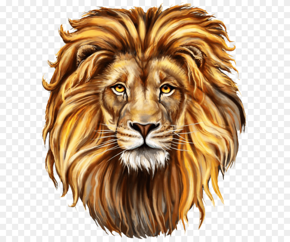 Lion For Lion, Animal, Mammal, Wildlife Free Png Download