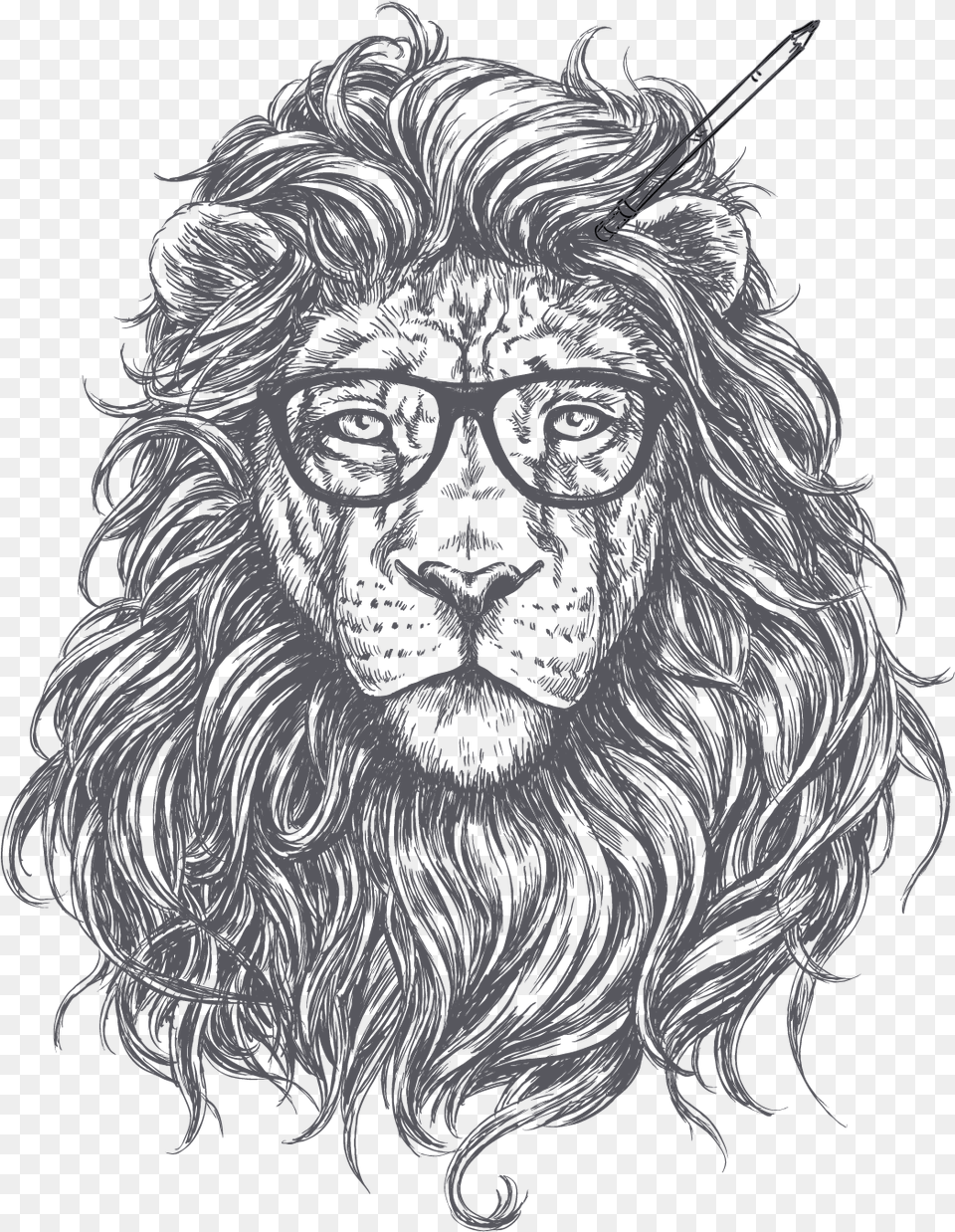 Download Lion Images Backgrounds Background Lion Logo, Animal, Ape, Mammal, Wildlife Free Transparent Png