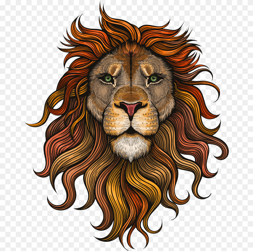 Download Lion Vector Color Lion With No Lion Head With Crown, Animal, Mammal, Wildlife Png Image
