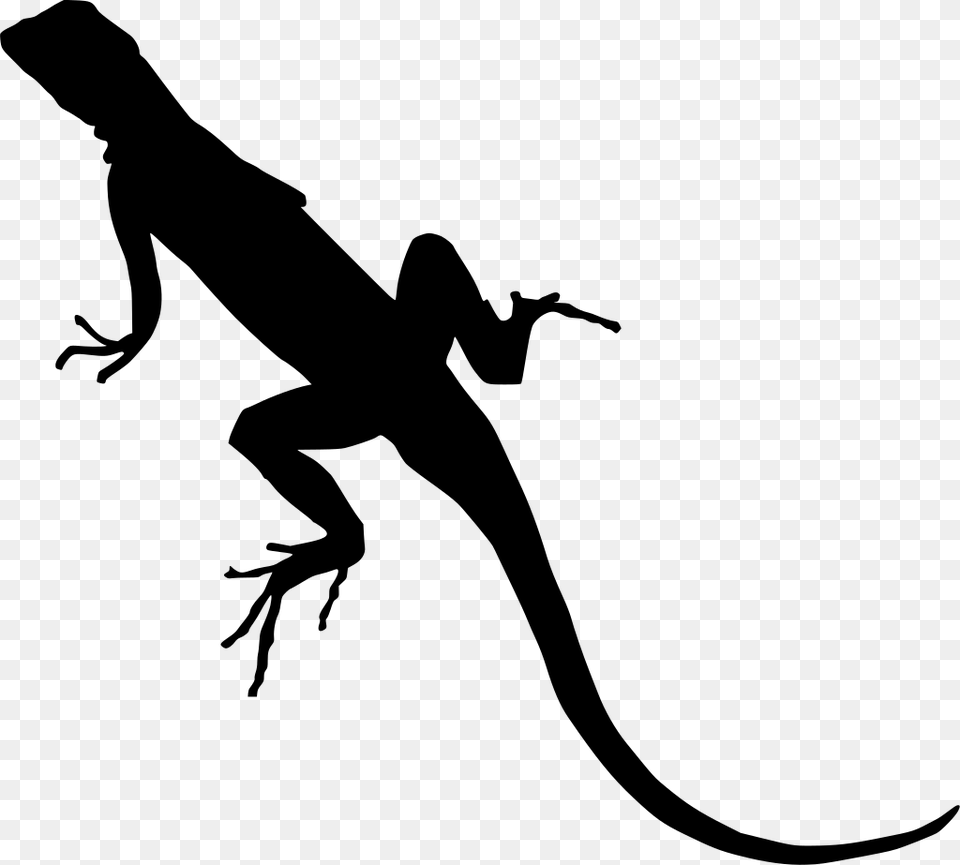 Download Lizard Clipart Background, Gray Png