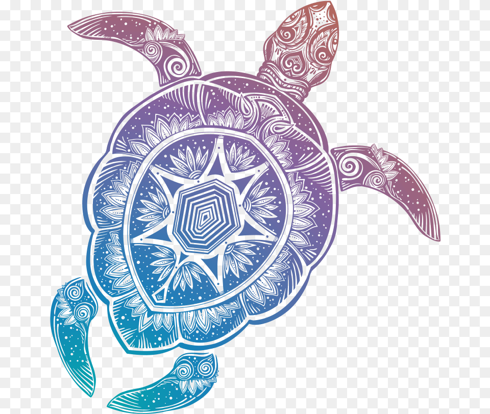 Download Loggerhead Sea Turtle Cartoon, Animal, Reptile, Sea Life, Sea Turtle Png