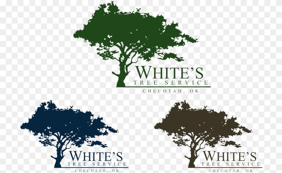 Logo For White S Tree Service Oak, Vegetation, Sycamore, Rainforest, Plant Free Png Download