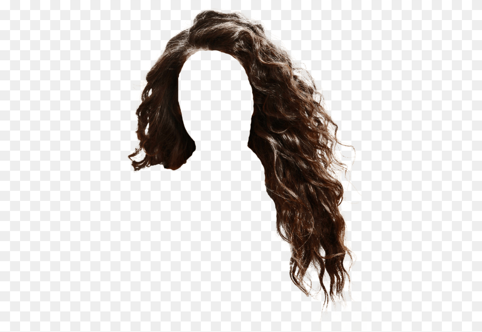Download Lordes Hair Curly Hair Women, Adult, Female, Person, Woman Free Transparent Png