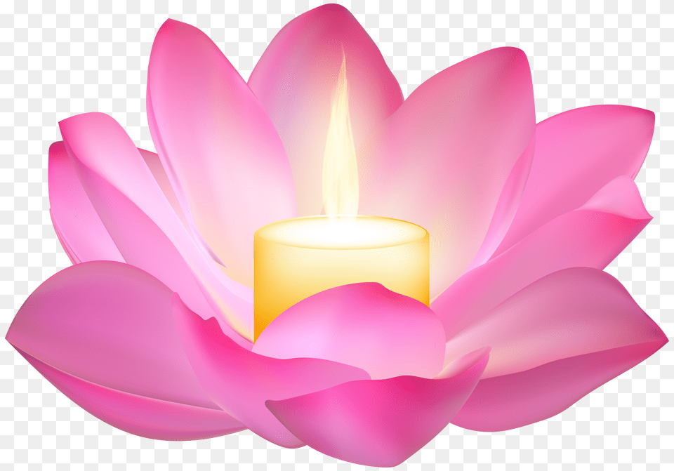 Lotus Candle Image Lotus Candle Transparent Free Png Download