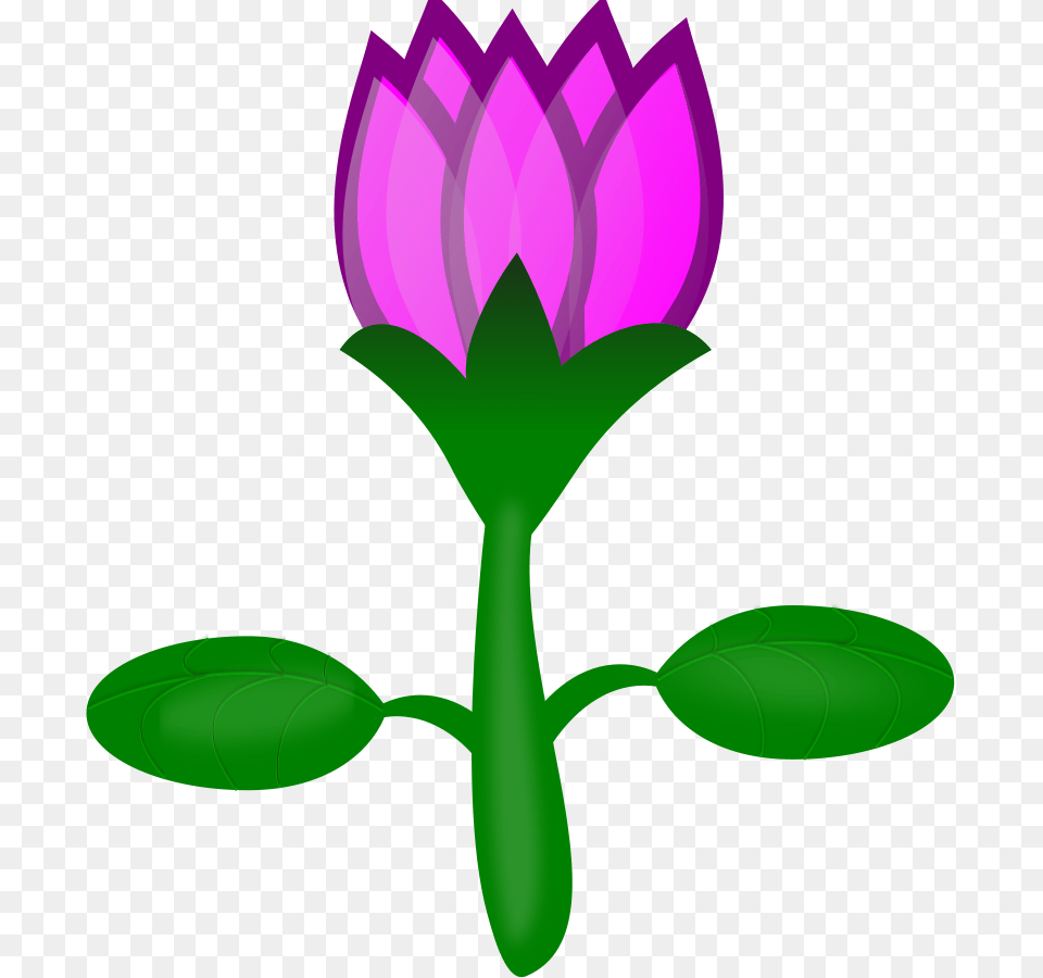 Lotus Svg Clipart, Flower, Plant, Purple, Green Free Png Download