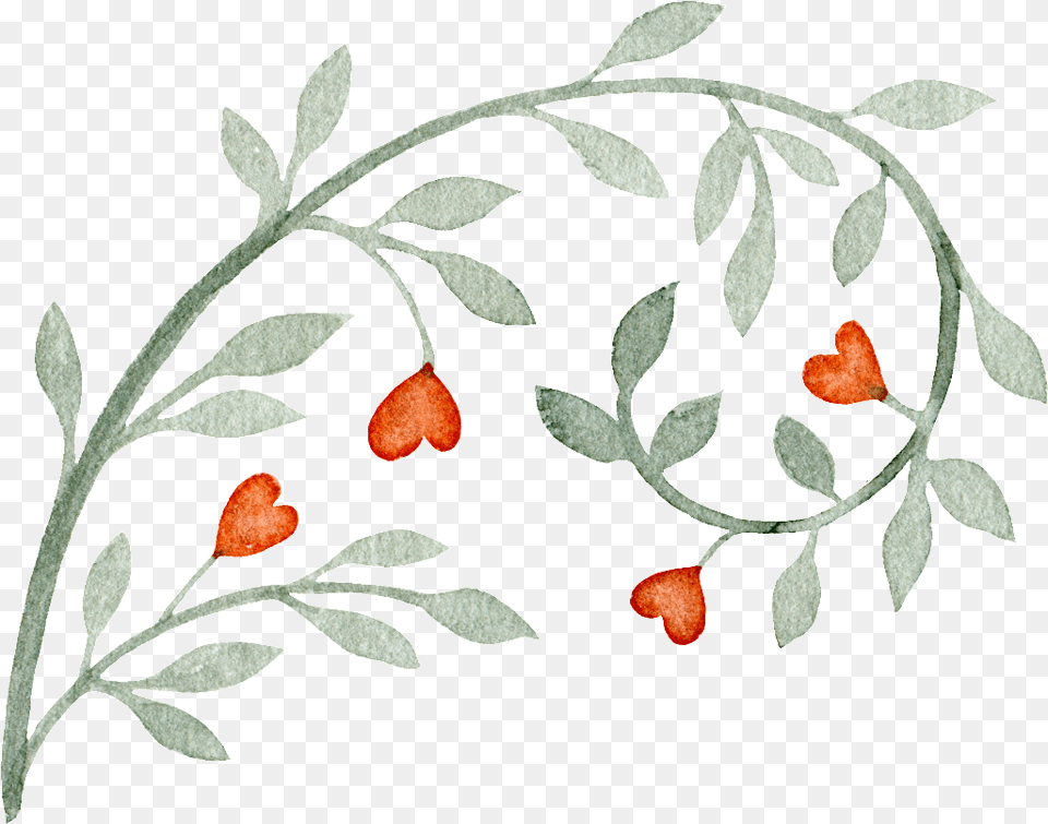 Download Love Gray Vine Decoration Vector Shalomjewelry Hoa Dy Leo V, Plant, Leaf, Petal, Flower Png Image