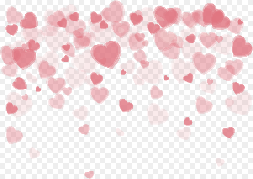 Download Love Vector Marriag Borders Valentine Day, Flower, Petal, Plant, Paper Png