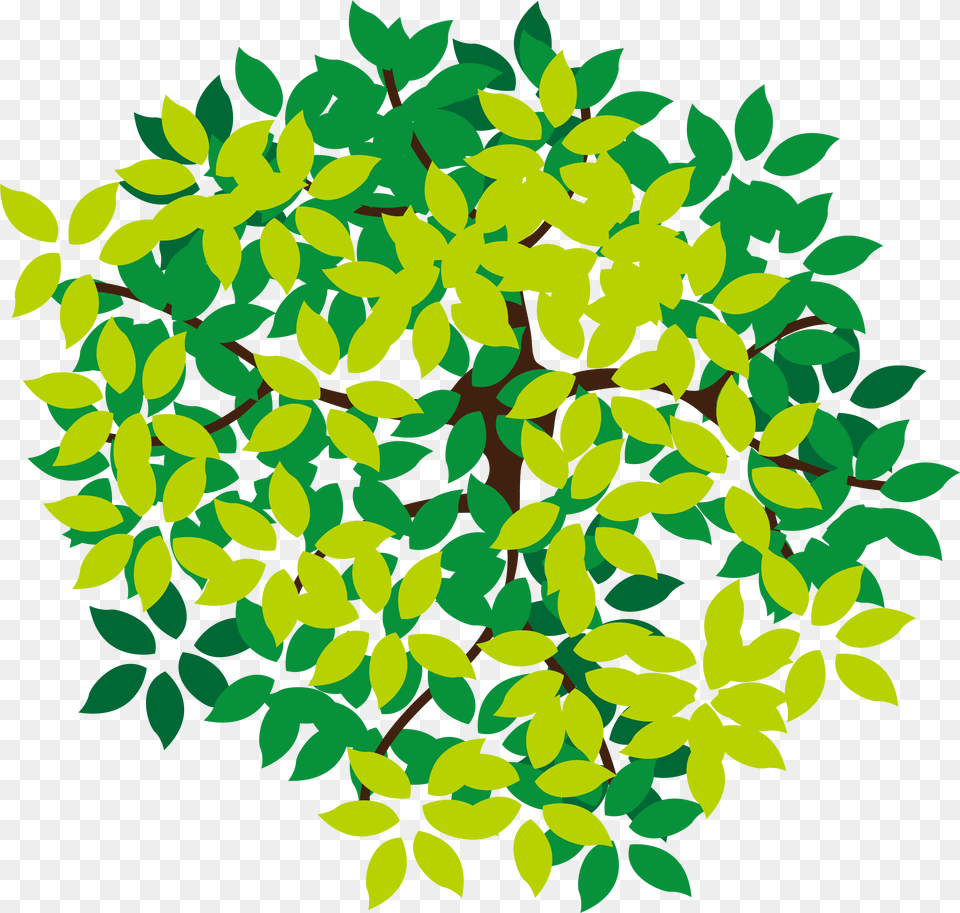 Download Lush Top Tree Icon Top View Tree Icon, Art, Floral Design, Graphics, Green Free Png