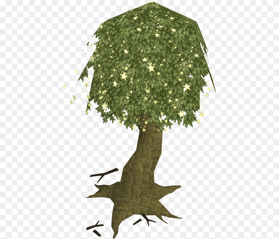 Magic Tree Old Magical Tree Transparent, Plant, Lamp, Adult, Wedding Free Png Download