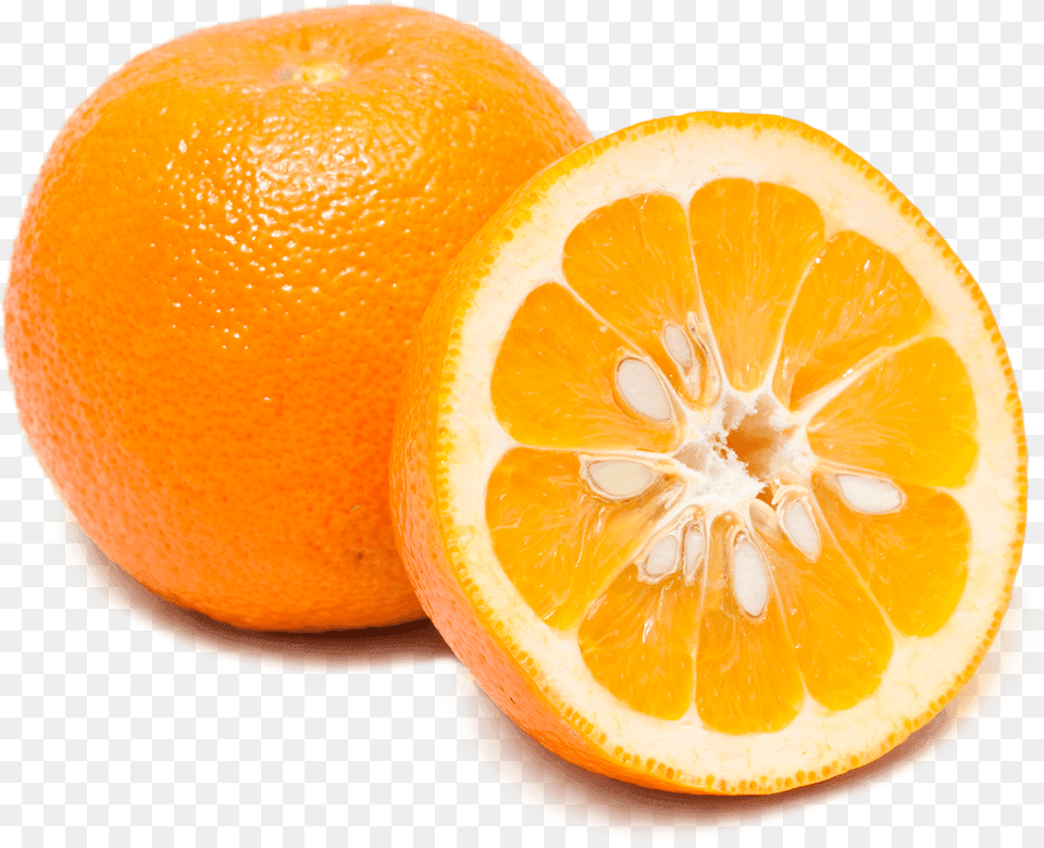 Download Making Sour Orange Pie Without Oranges Sour Orange, Citrus Fruit, Food, Fruit, Grapefruit Png Image