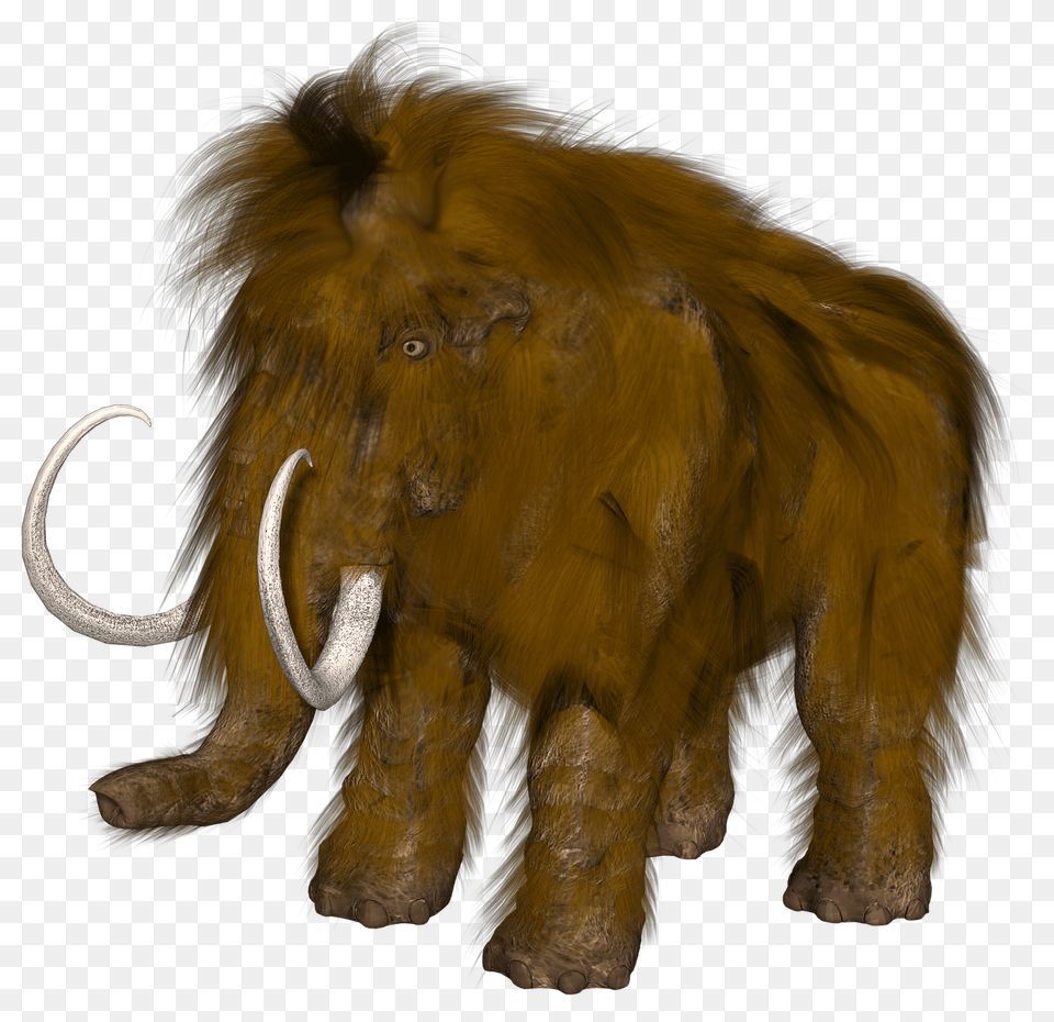 Mammoth Transparent Mammouth, Animal, Elephant, Mammal, Wildlife Free Png Download