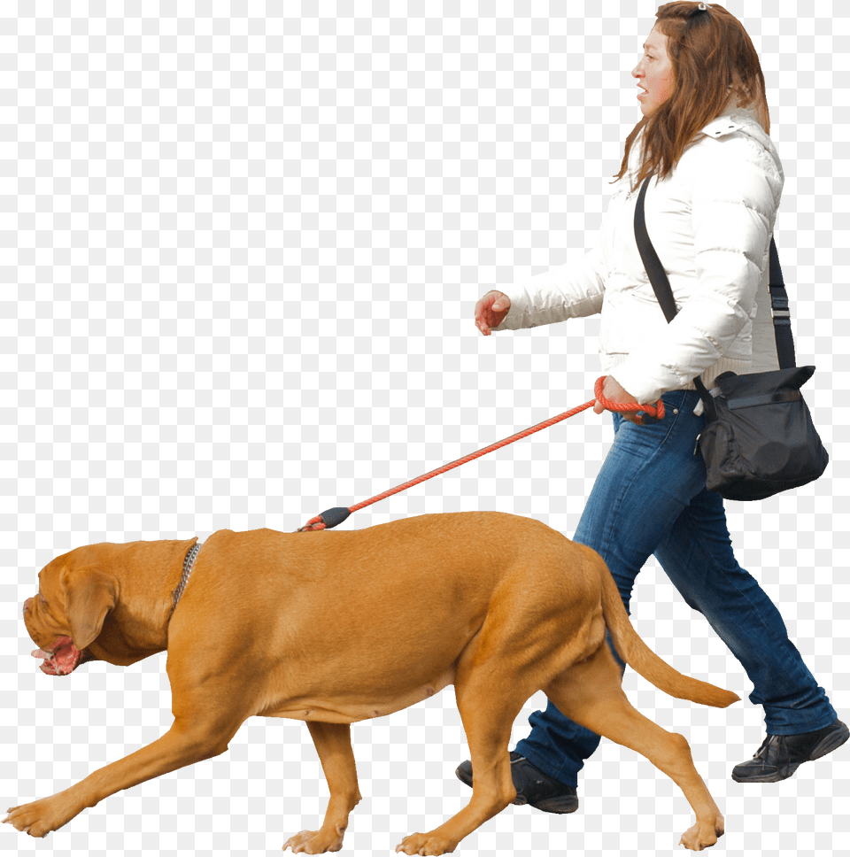 Download Man Walking Dog Woman Walking Dog, Accessories, Strap, Pet, Person Png Image