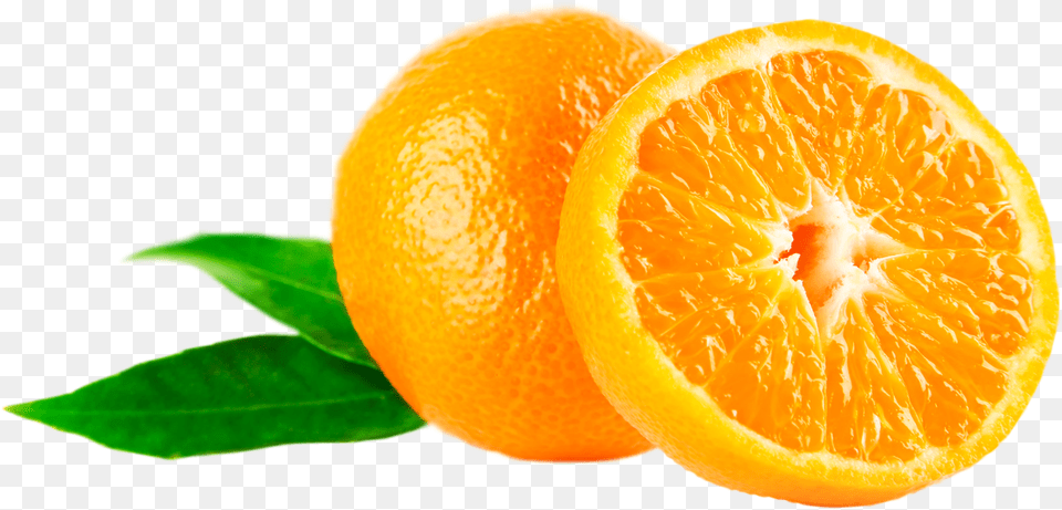 Download Mandarin Image For Mandarin Orange, Citrus Fruit, Food, Fruit, Plant Free Png