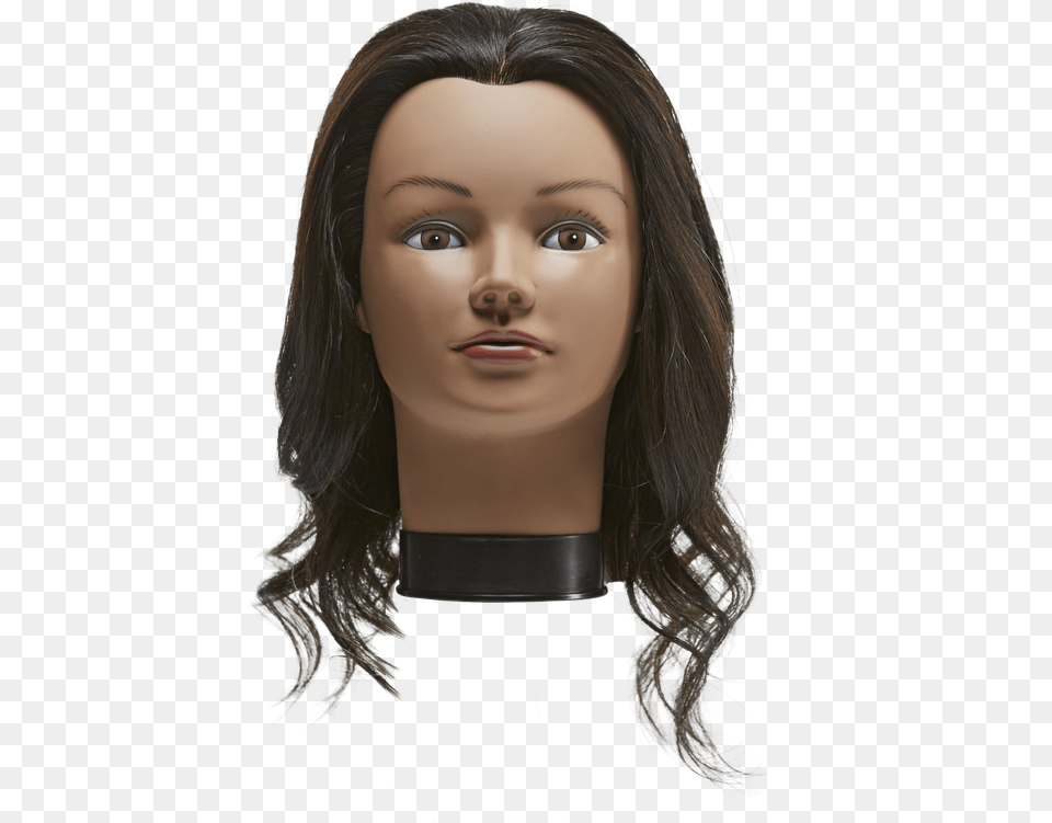 Download Mannequin Head Mannepuin Hair Doll, Adult, Female, Person, Woman Free Transparent Png