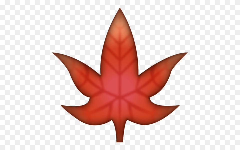 Maple Leaf Emoji Image In Emoji Island, Plant, Tree, Maple Leaf, Animal Free Png Download