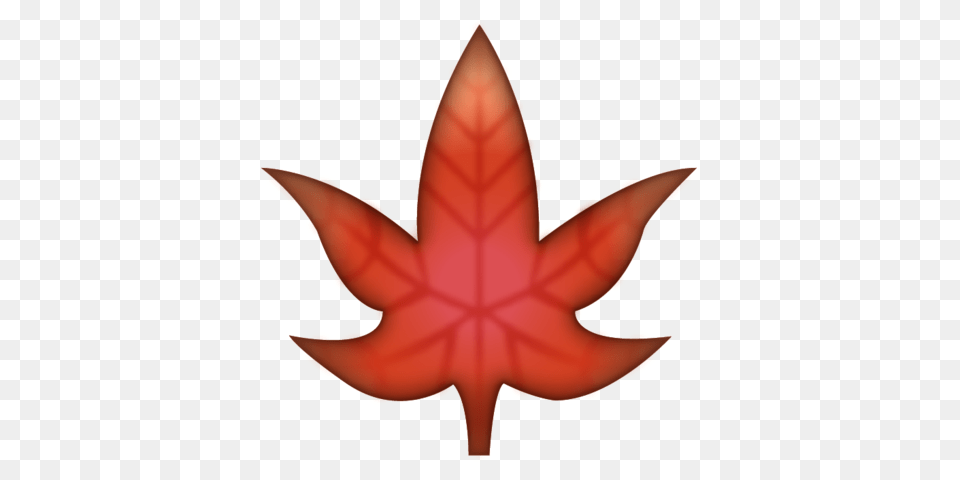 Download Maple Leaf Emoji Image In Emoji Island, Plant, Tree, Maple Leaf, Animal Png