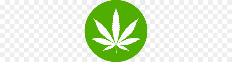 Download Marijuana Icon Clipart Medical Cannabis Computer Icons, Herbal, Herbs, Leaf, Plant Png Image
