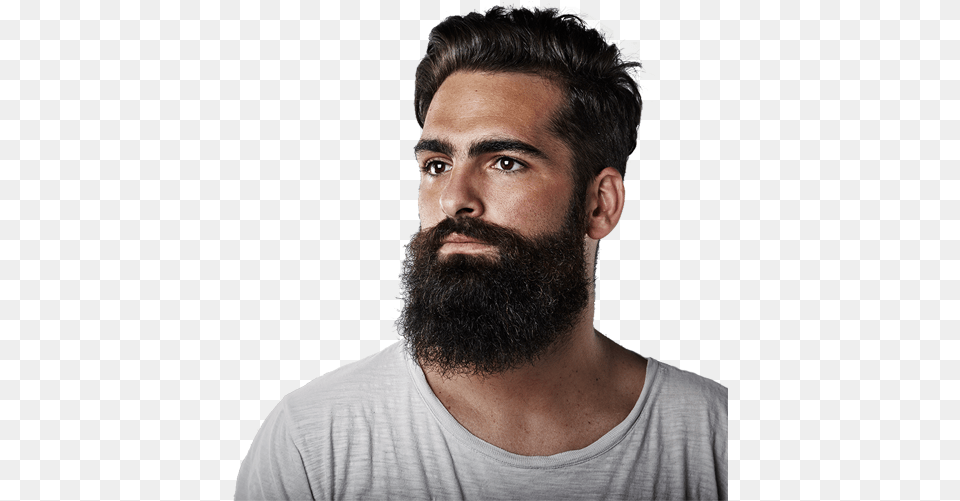 Download Master The Art Of Facial Hair Beard Man Face, Adult, Head, Male, Person Free Transparent Png