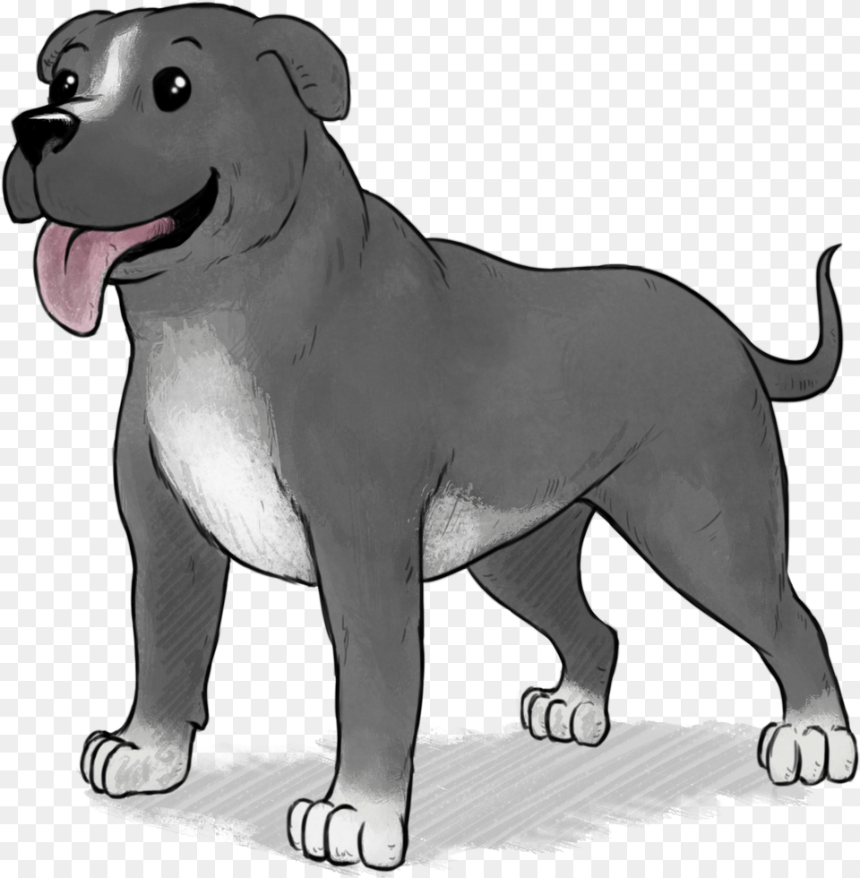 Download Medium Dog Animal Figure, Canine, Mammal, Pet, Face Free Transparent Png