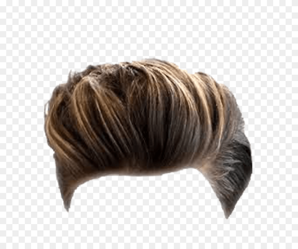 Download Mens Hair Image For Picsart Man Hair, Adult, Female, Person, Woman Png