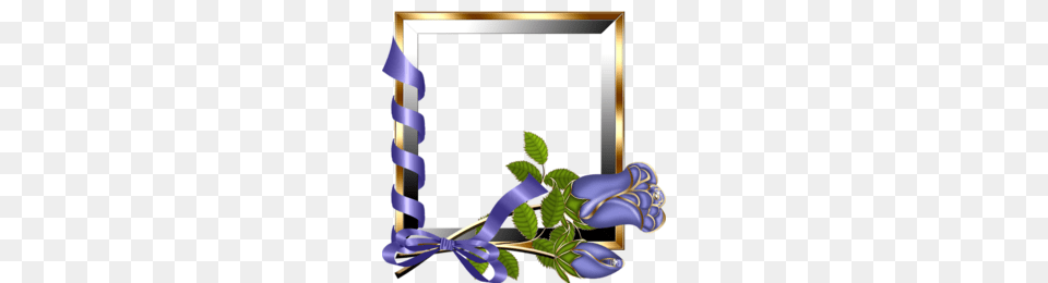 Download Mensagem Do Dia Internacional Da Clipart Picture, Purple, Flower, Plant, Flower Arrangement Png Image