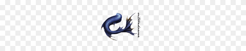 Download Mermaid Tail Photo Images And Clipart Freepngimg, Dragon, Smoke Pipe Free Transparent Png