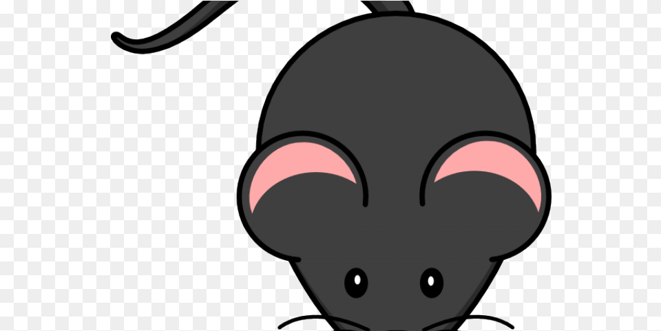 Download Mice Clipart Rat Mouse Transparent Background Free Png