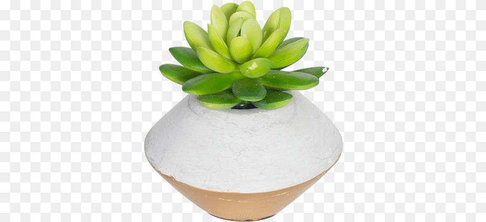 Download Mini Faux Succulent In Concrete Planter Gold Succulent Pot, Vase, Pottery, Potted Plant, Jar Png