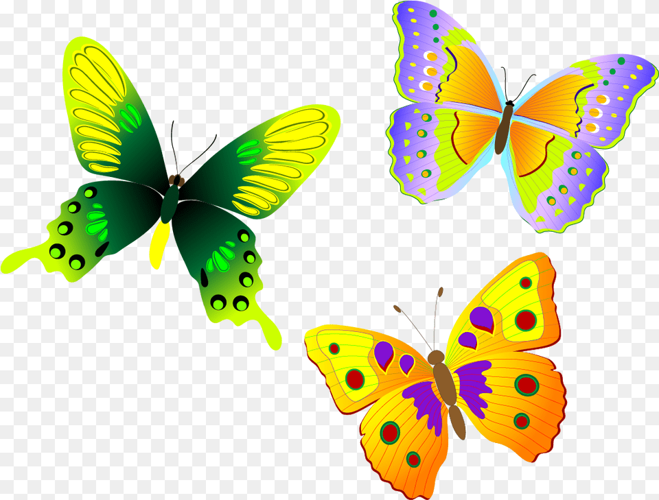 Download Monarch Butterfly Euclidean Butterflies, Animal, Insect, Invertebrate Free Png