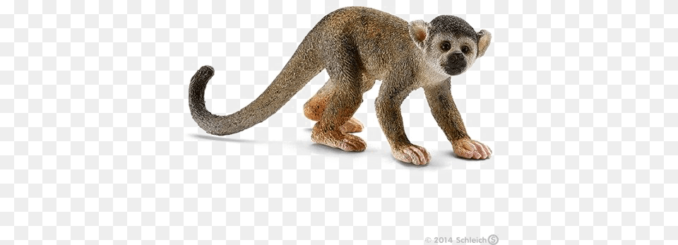 Download Monkey Image Schleich Squirrel Toy Animals Schleich Monkey, Animal, Mammal, Wildlife Png