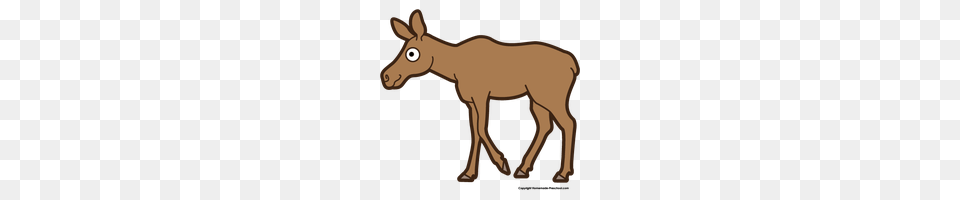 Download Moose Category Clipart And Icons Freepngclipart, Animal, Mammal, Canine, Dog Png