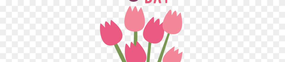 Download Mothers Day Transparent And Clipart, Flower, Petal, Plant, Tulip Free Png