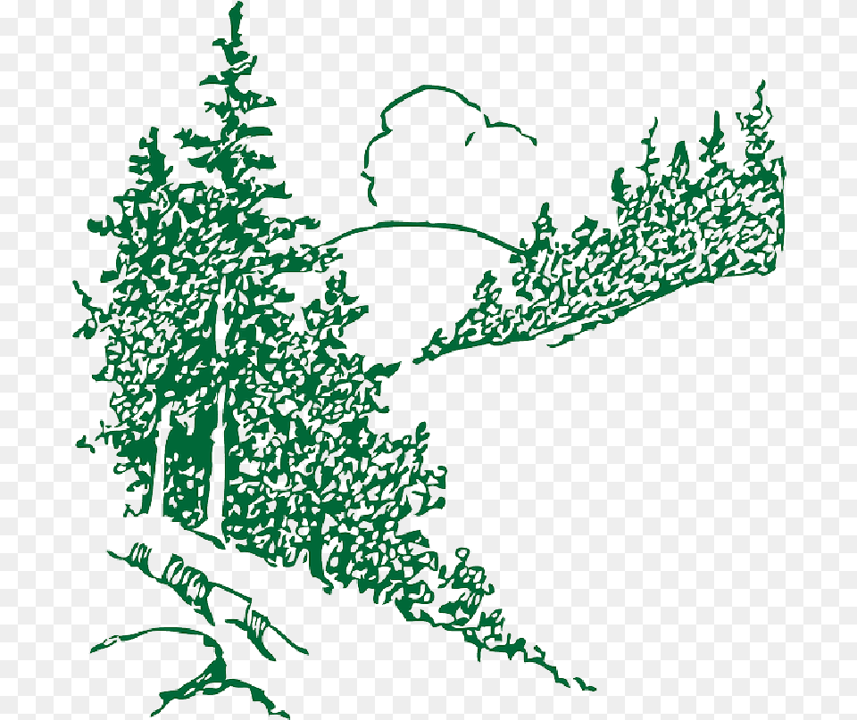 Download Mountain With Trees Outline Pine Pine Trees Clipart Outlines, Tree, Plant, Green, Vegetation Free Png