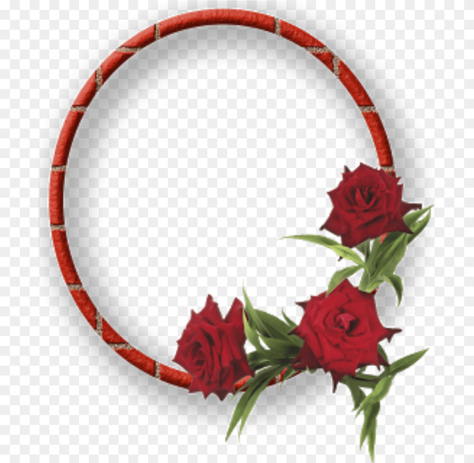 Download Mq Red Roses Frame Frames Border Borders Flowers Red Rose Border Frame, Flower, Flower Arrangement, Plant, Accessories Free Png