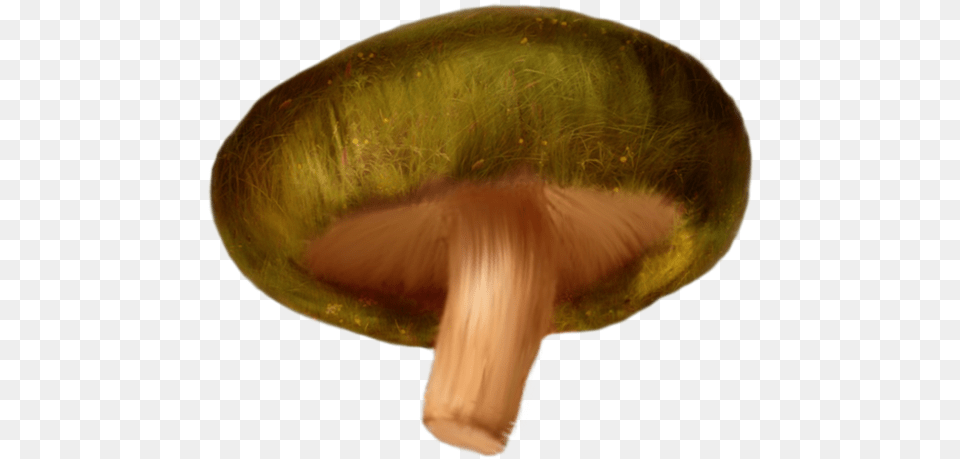 Download Mushroom Clipart Russula Integra, Agaric, Amanita, Fungus, Plant Free Png