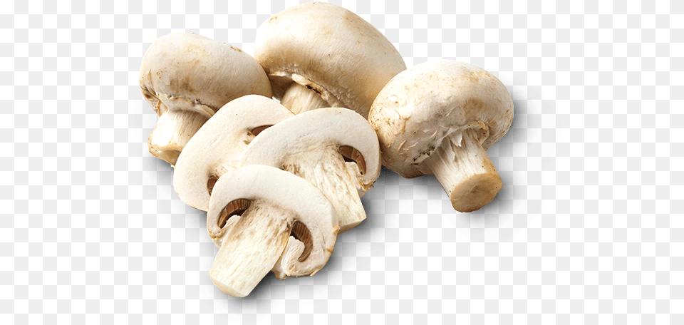 Download Mushrooms Champignon Mushroom With No Transparent Background Sliced Mushroom, Fungus, Plant, Agaric, Amanita Free Png