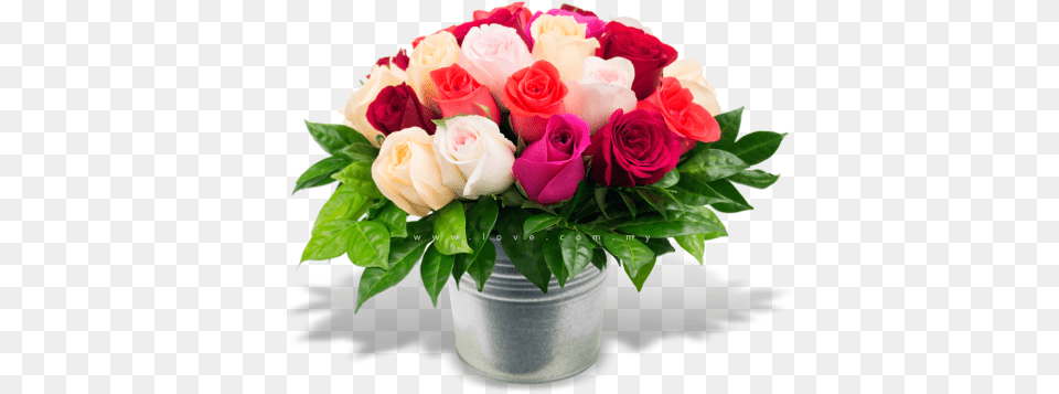 Download My Flower Pot Love Flower Pot, Flower Arrangement, Flower Bouquet, Plant, Rose Png Image
